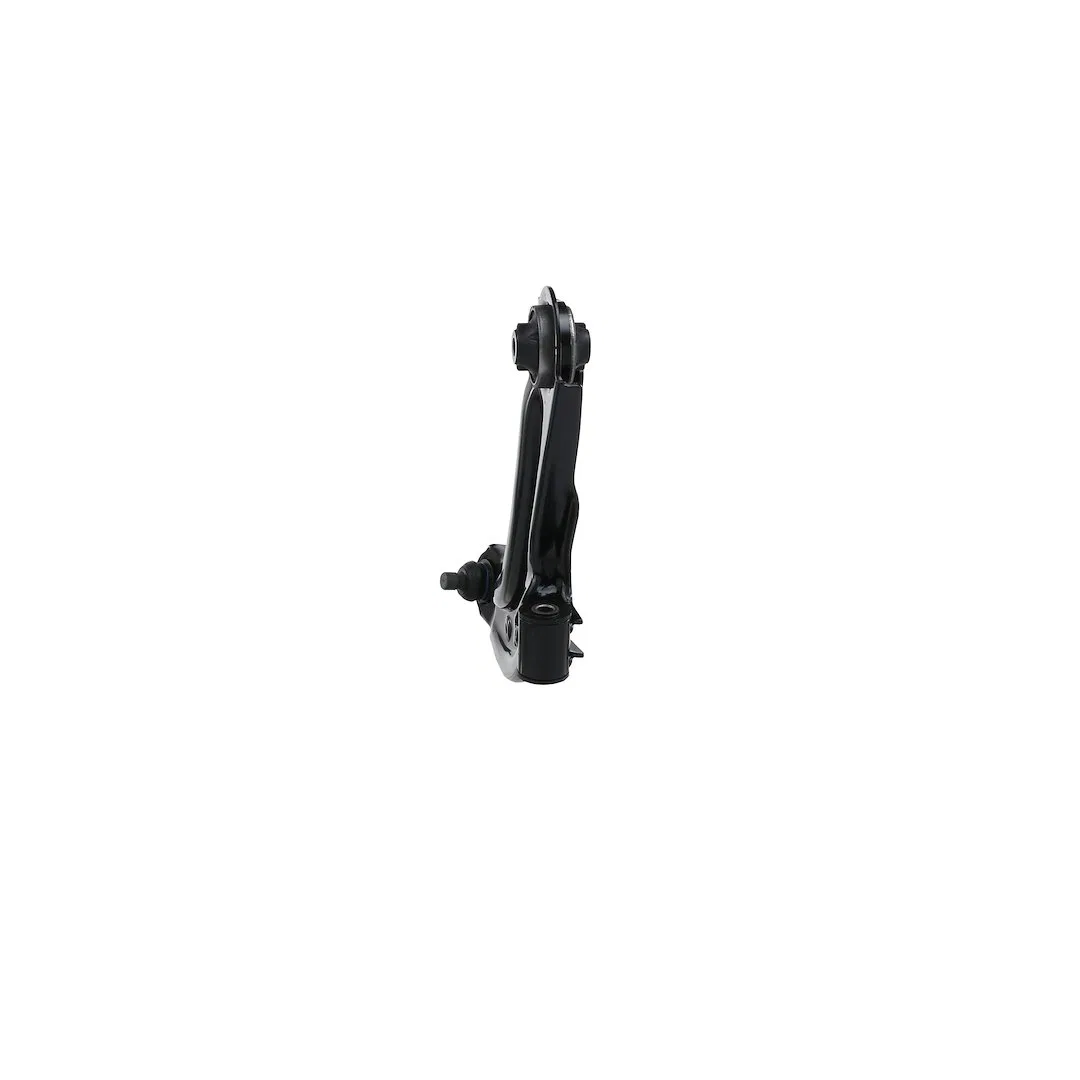 RK622159 – MOOG Control Arm, OE Replacement - view 3
